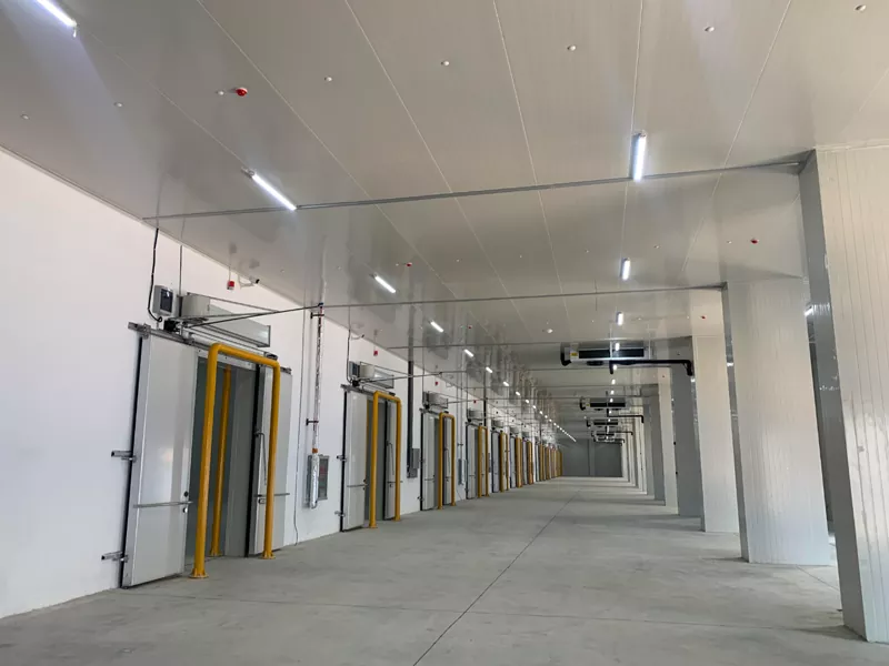 Warehouse Struttura di Steel per frigorifero