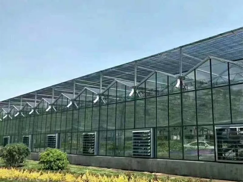 Amuri di l'acciaio